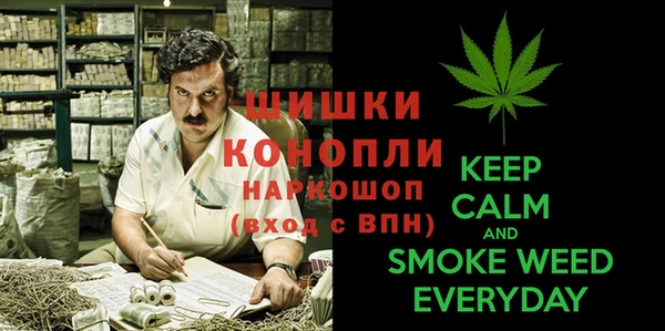 Альфа ПВП Пролетарск
