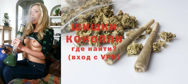 сатива Богданович