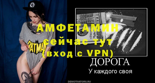 сатива Богданович